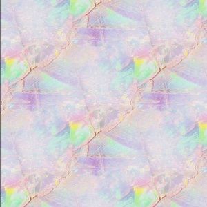 Meet your Posher, Reagan